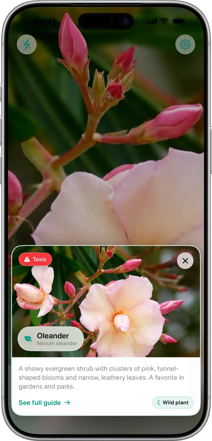 Plantz scanning an oleander flower and flagging it as toxic