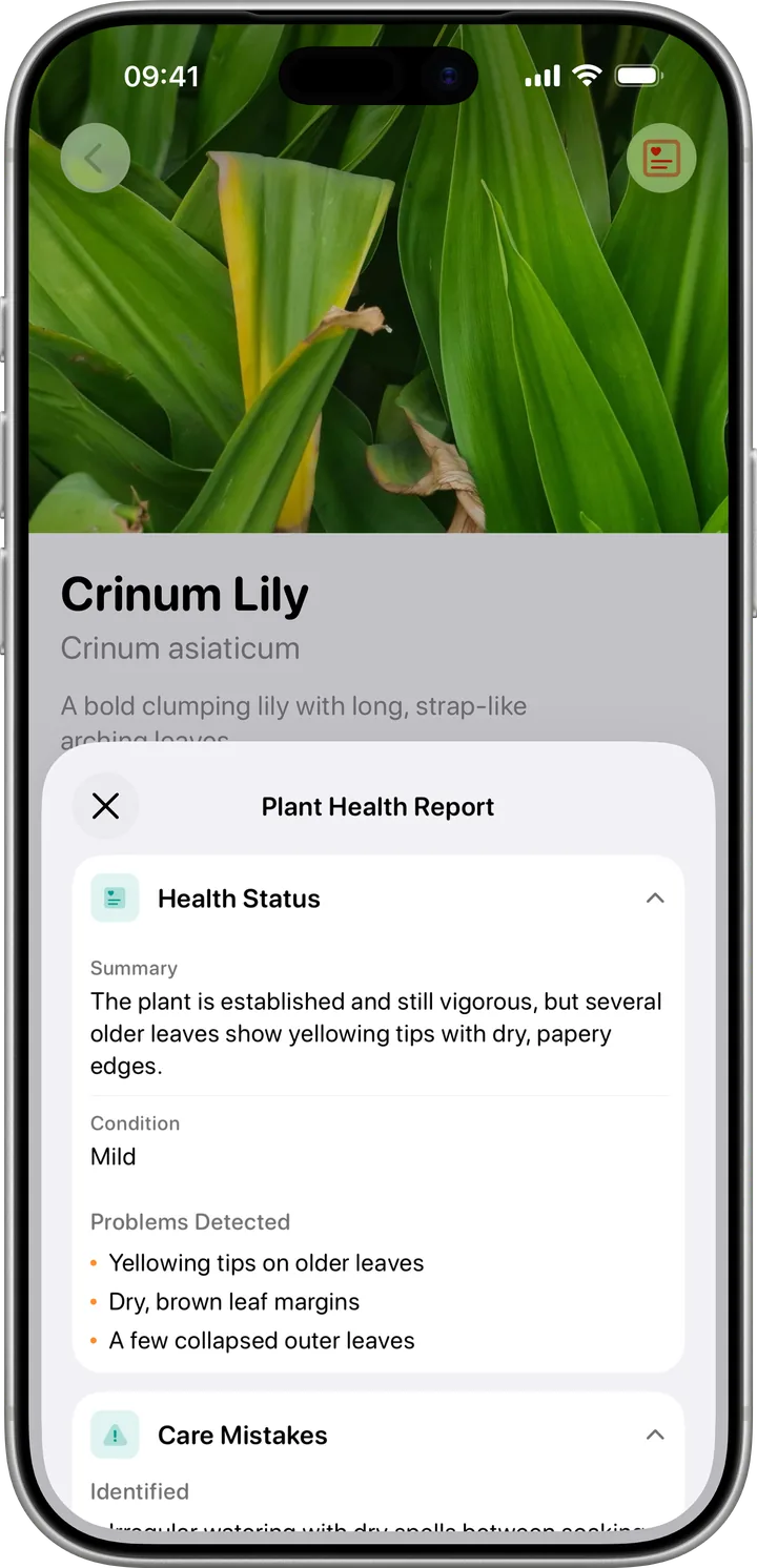 Plant Health Report listing detected problems and care mistakes