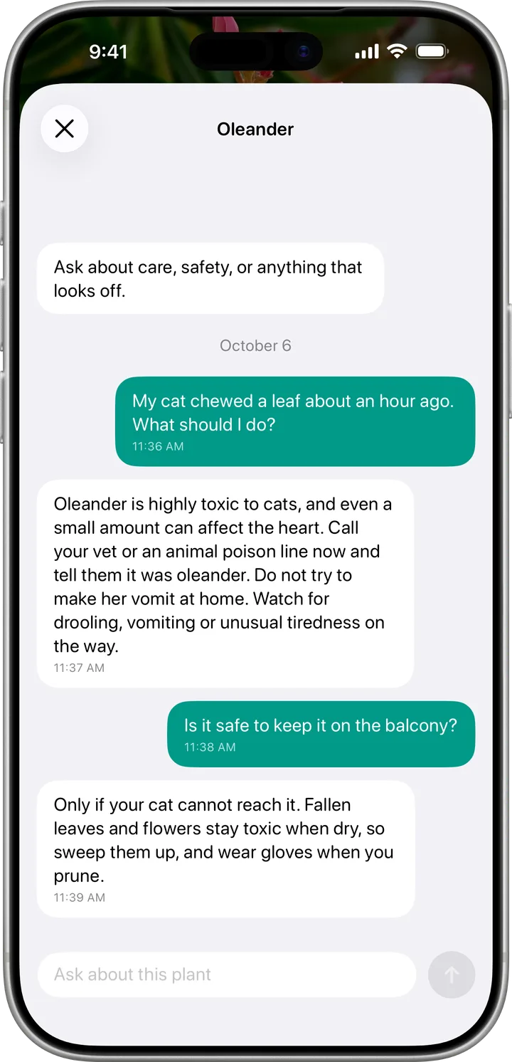 Plantz chat answering questions about an oleander and a cat